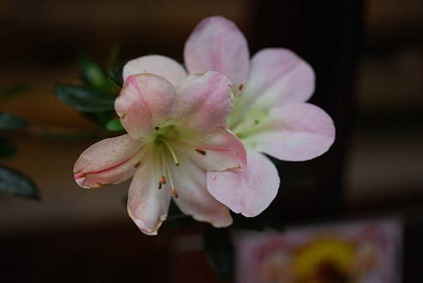 DSC_8386.jpg DSC_8386.jpg