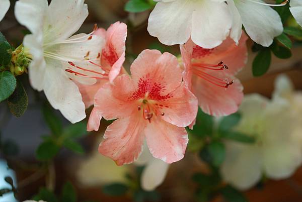 DSC_8389.jpg DSC_8389.jpg