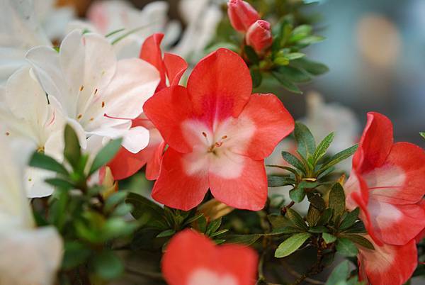 DSC_8391.jpg DSC_8391.jpg