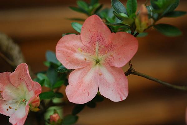 DSC_8397.jpg DSC_8397.jpg