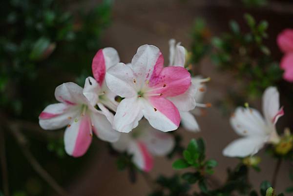 DSC_8396.jpg DSC_8396.jpg