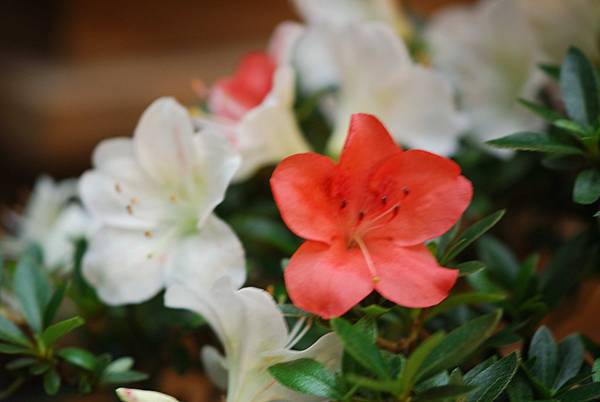 DSC_8400.jpg DSC_8400.jpg