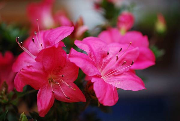 DSC_8401.jpg DSC_8401.jpg