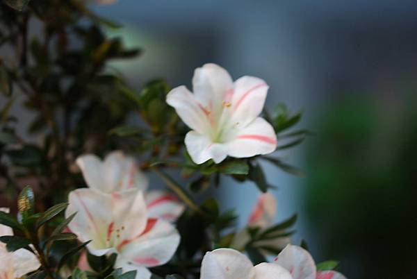 DSC_8406.jpg DSC_8406.jpg