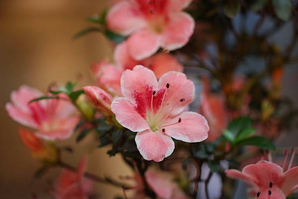 DSC_8409.jpg DSC_8409.jpg