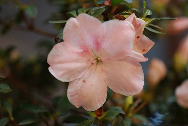 DSC_8408.jpg DSC_8408.jpg