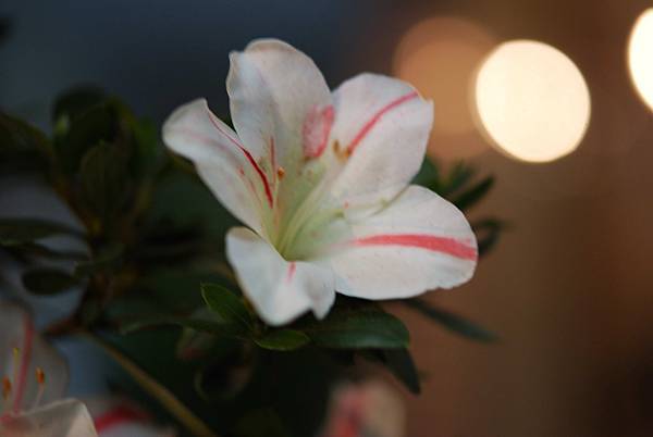 DSC_8407.jpg DSC_8407.jpg