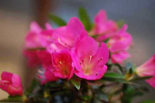 DSC_8410.jpg DSC_8410.jpg