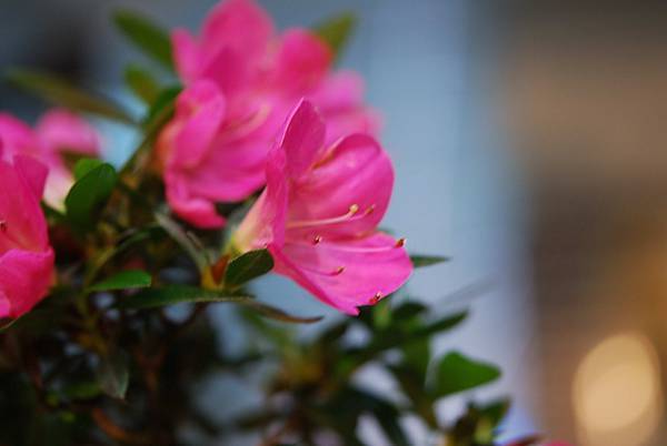 DSC_8414.jpg DSC_8414.jpg