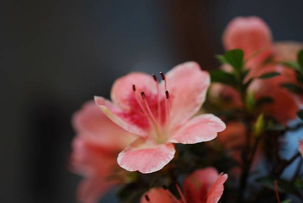 DSC_8416.jpg DSC_8416.jpg