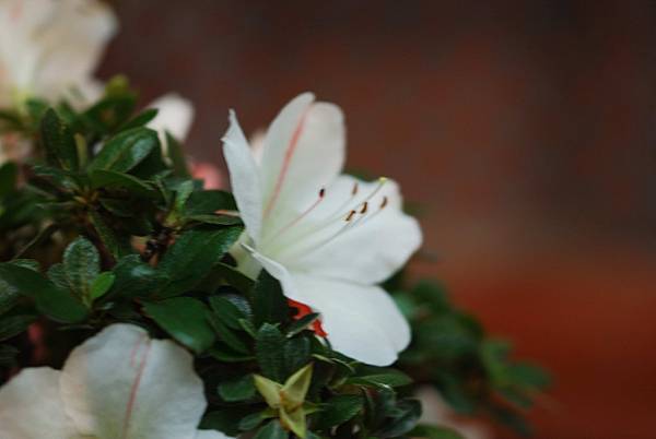 DSC_8422.jpg DSC_8422.jpg