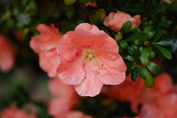 DSC_8429.jpg DSC_8429.jpg