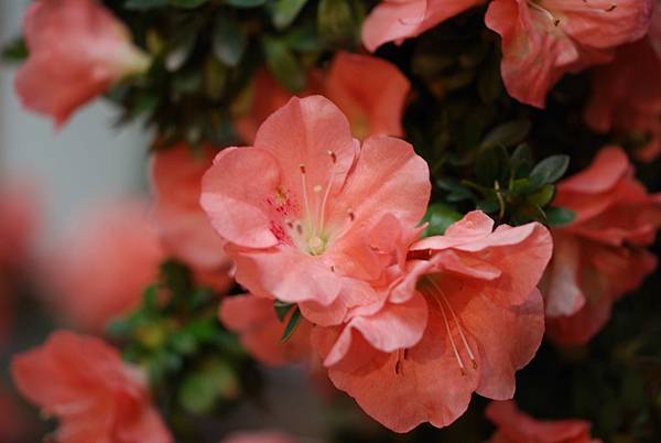 DSC_8428.jpg DSC_8428.jpg