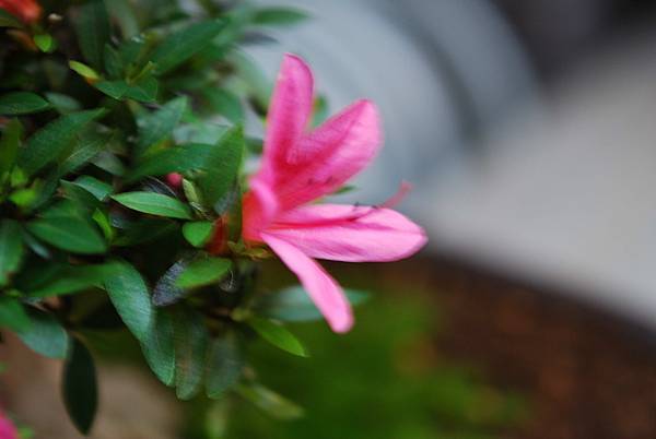 DSC_8432.jpg DSC_8432.jpg