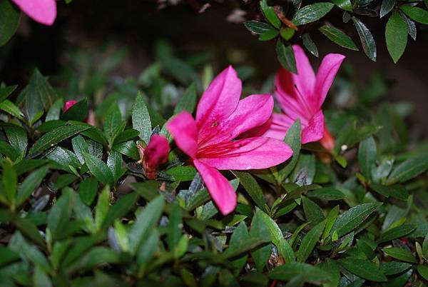 DSC_8434.jpg DSC_8434.jpg