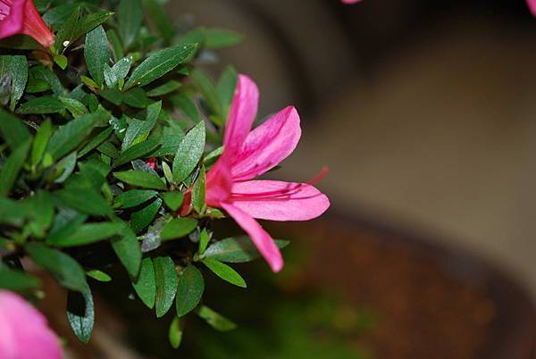 DSC_8435.jpg DSC_8435.jpg