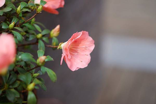 DSC_8440.jpg DSC_8440.jpg