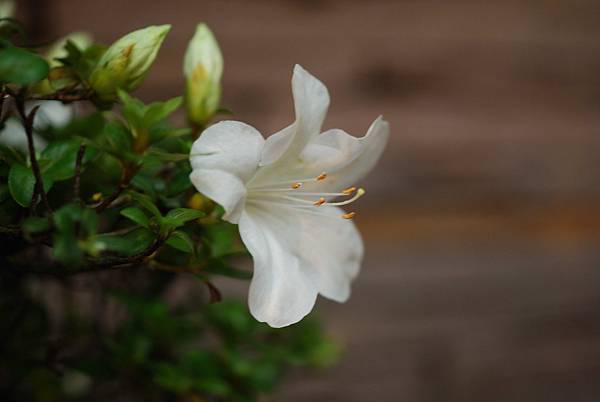 DSC_8442.jpg DSC_8442.jpg