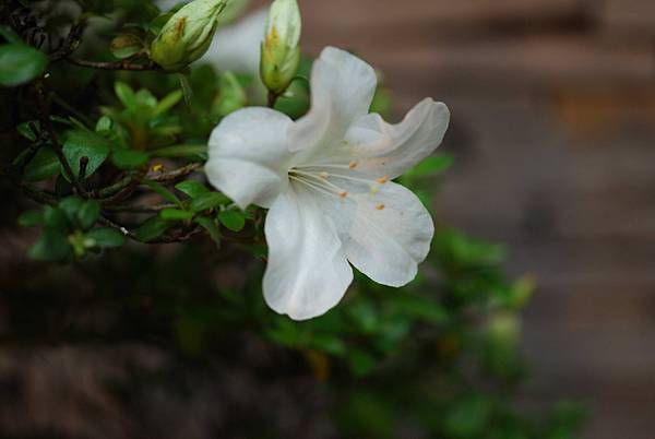 DSC_8443.jpg DSC_8443.jpg