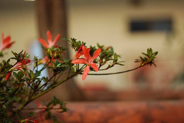 DSC_8446.jpg DSC_8446.jpg