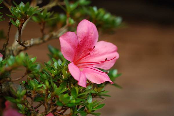 DSC_8445.jpg DSC_8445.jpg