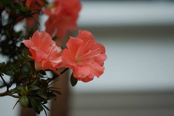 DSC_8444.jpg DSC_8444.jpg