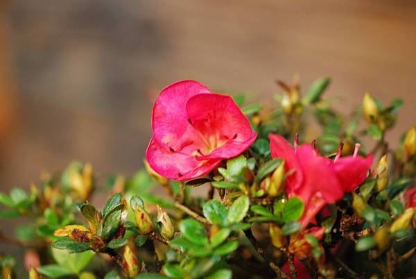 DSC_8448.jpg DSC_8448.jpg