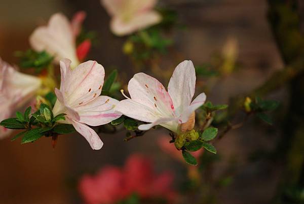 DSC_8449.jpg DSC_8449.jpg