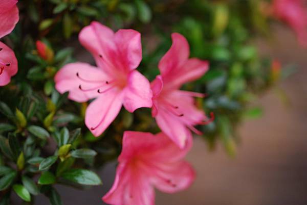 DSC_8453.jpg DSC_8453.jpg