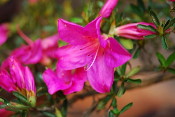 DSC_8456.jpg DSC_8456.jpg