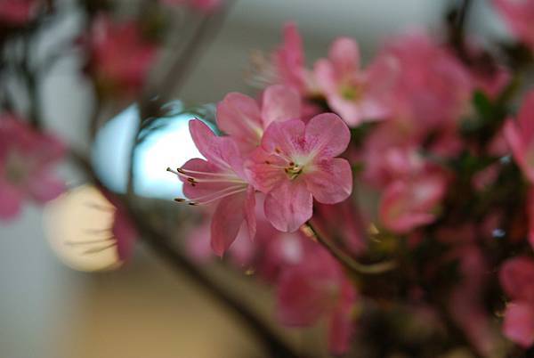 DSC_8465.jpg DSC_8465.jpg