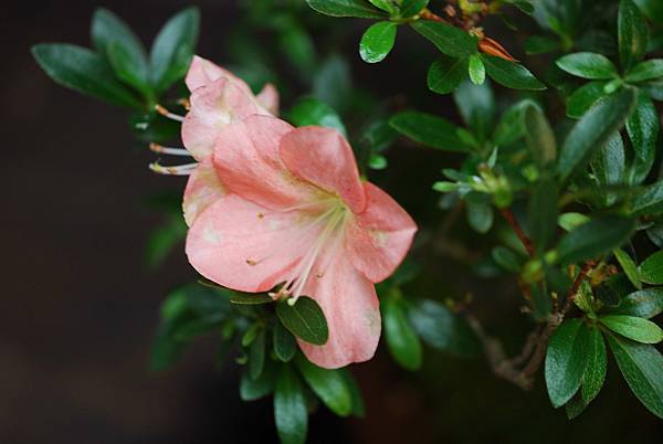 DSC_8463.jpg DSC_8463.jpg