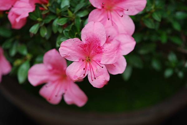 DSC_8468.jpg DSC_8468.jpg