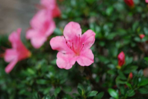 DSC_8469.jpg DSC_8469.jpg