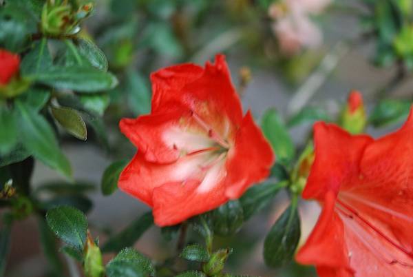 DSC_8470.jpg DSC_8470.jpg