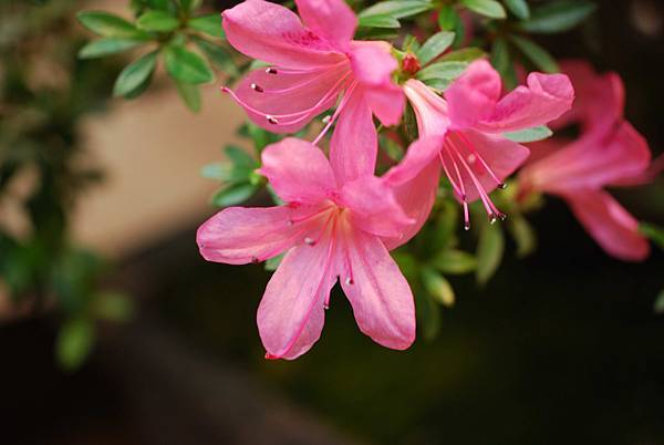 DSC_8480.jpg DSC_8480.jpg