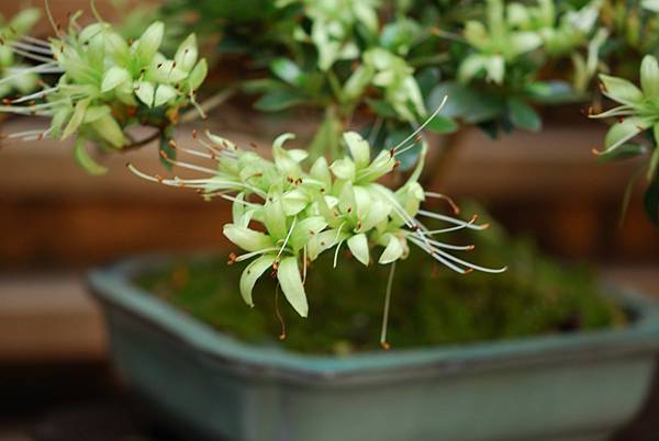 DSC_8489.jpg DSC_8489.jpg