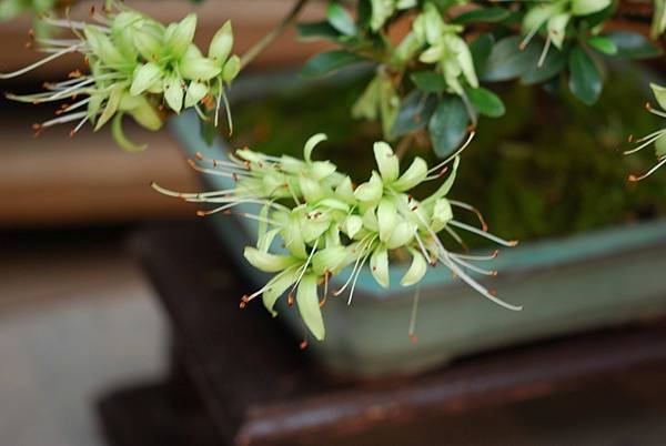 DSC_8488.jpg DSC_8488.jpg