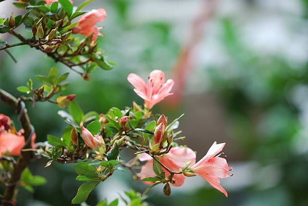 DSC_8493.jpg DSC_8493.jpg