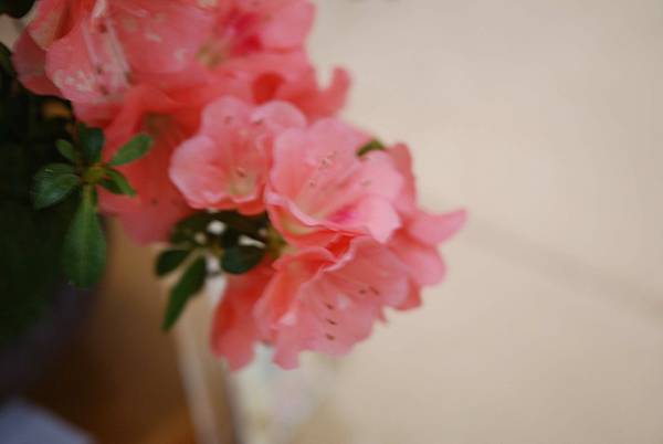 DSC_8510.jpg DSC_8510.jpg