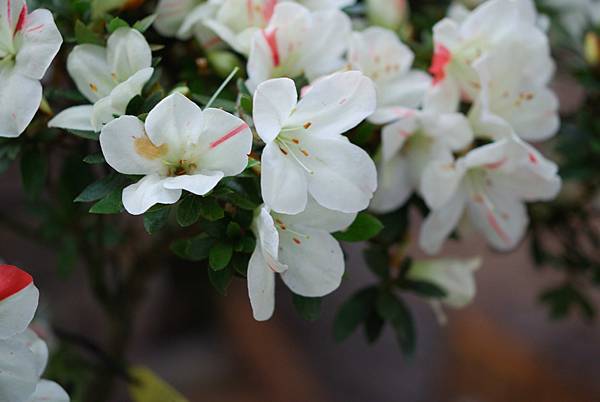 DSC_8513.jpg DSC_8513.jpg