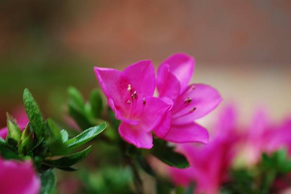 DSC_8529.jpg DSC_8529.jpg