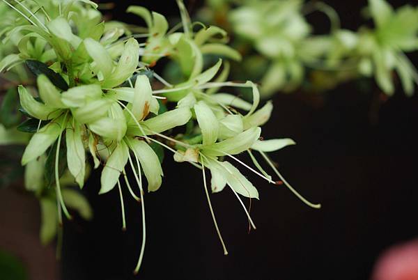 DSC_8532.jpg DSC_8532.jpg