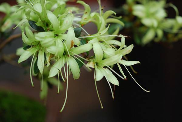 DSC_8533.jpg DSC_8533.jpg