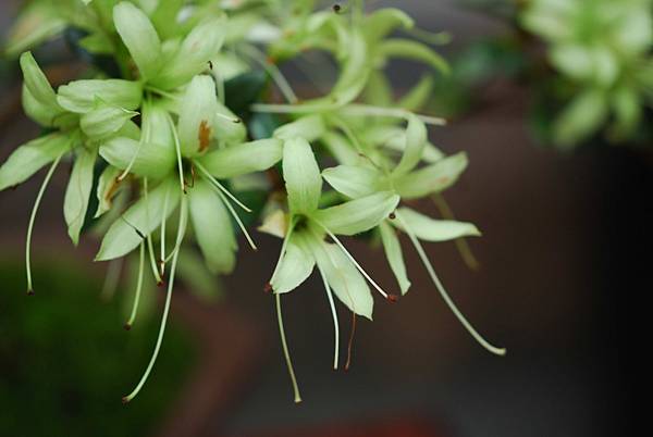 DSC_8534.jpg DSC_8534.jpg