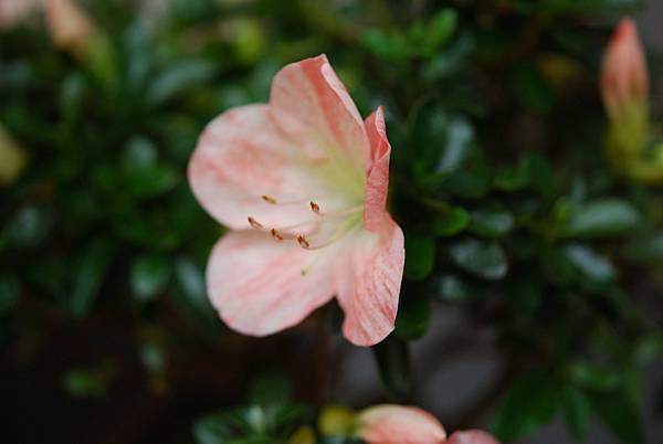 DSC_8536.jpg DSC_8536.jpg