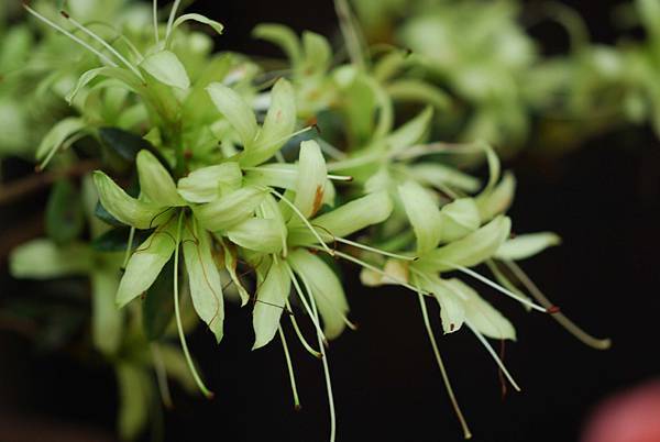 DSC_8535.jpg DSC_8535.jpg