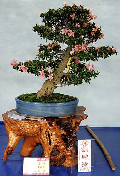 DSC_4561.jpg DSC_4561.jpg