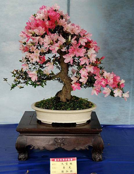 DSC_4562.jpg DSC_4562.jpg