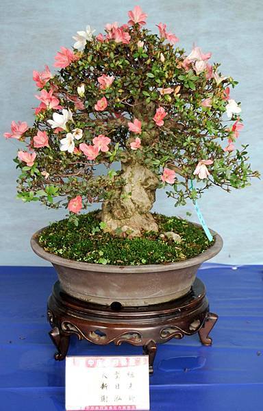 DSC_4567.jpg DSC_4567.jpg